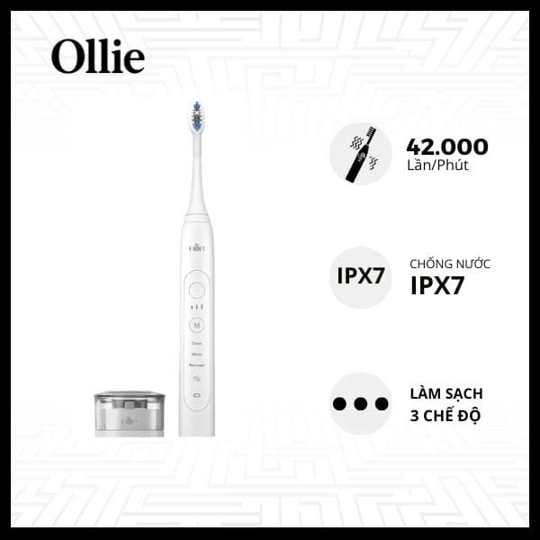 Bàn Chải Đánh Răng Điện OLLIE OLB-MLM-SG-01 Chính Hãng